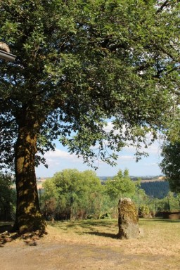 Menhir du Mas Viel