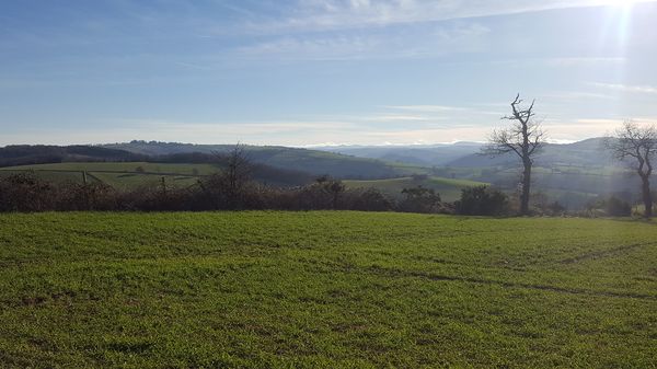 Panorama de Paulinet